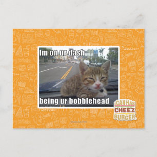 Im on ur dash postcard