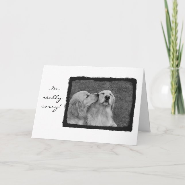 I'm really sorry card (Front)