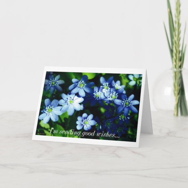 I'm sending good wishes card (Front)