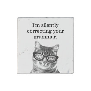 I'm silently correcting your grammar cat teacher stone magnet