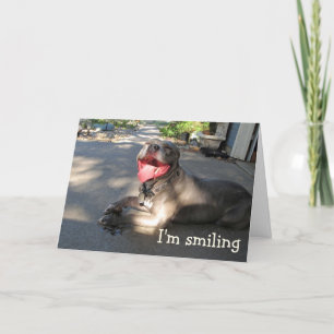 I'm Smiling Pitbull Anniversary Card