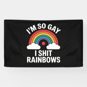 I'm So Gay Rainbows Funny LGBTQ Pride Ally Banner