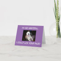I'm so grateful, I could lick your face!