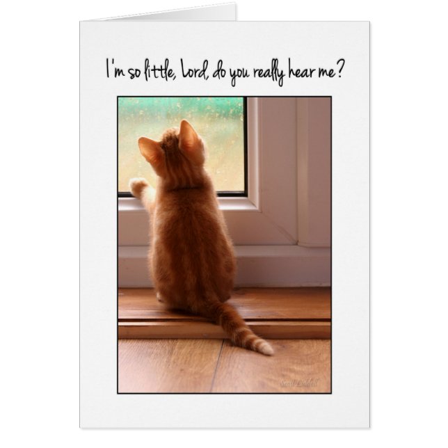 I'm so little Lord do you hear me?  kitten (Front)