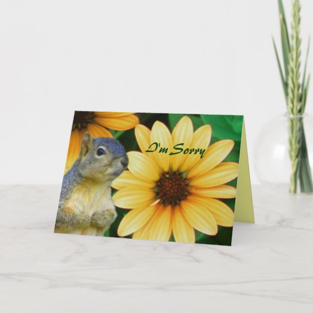 I'm Sorry/Any Occasion_ Card (Front)