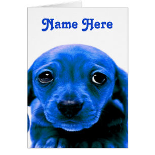 I'm sorry Blue Sad Puppy Dog Eyes