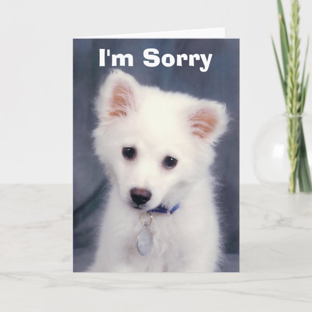 I'm Sorry Card (Front)