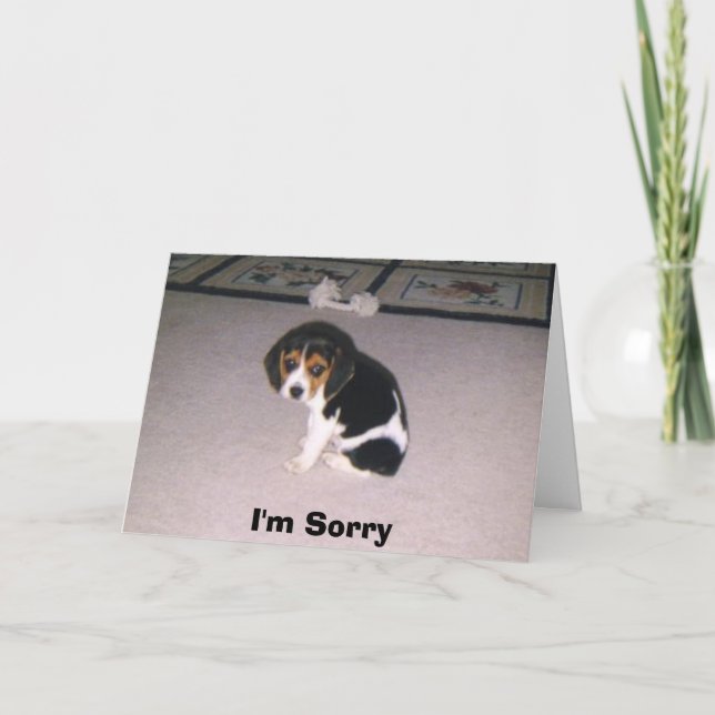 I'm Sorry Card (Front)