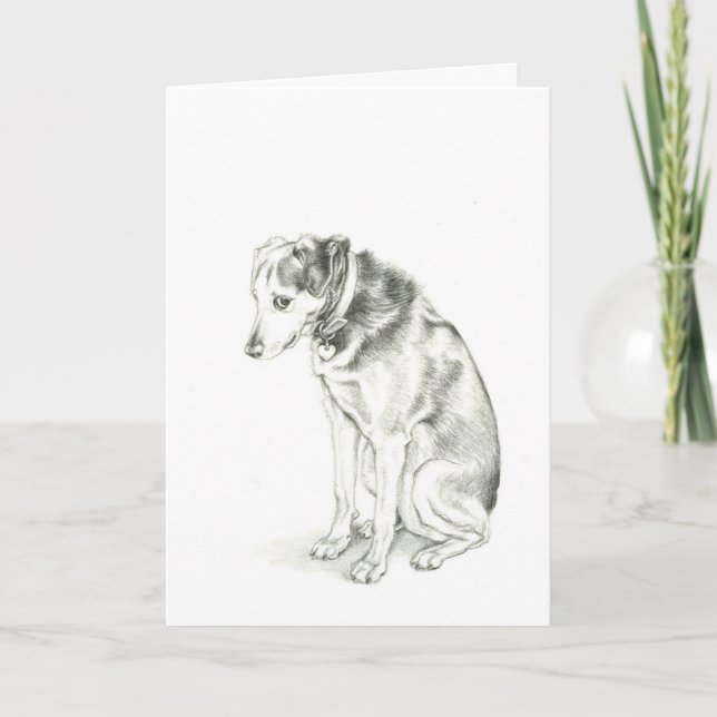 "I'm Sorry" Dixie card (Front)