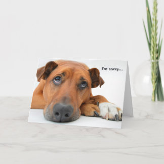 I'm Sorry Dog Card