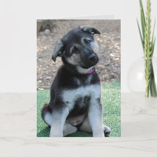 I'm Sorry German Shepherd Cutest Puppy Card (Front)