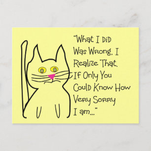 "I'm Sorry" Greeting Cards--Cat Design Postcard