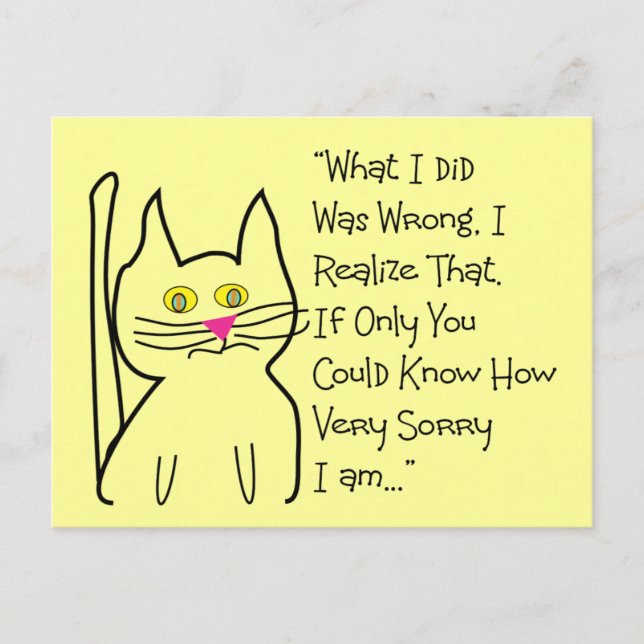 "I'm Sorry" Greeting Cards--Cat Design Postcard (Front)