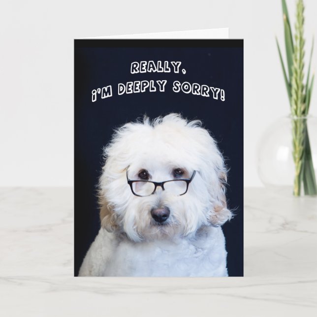 I'M SORRY - HUMOR W/DOG/BLACK-RIM GLASSES CARD (Front)