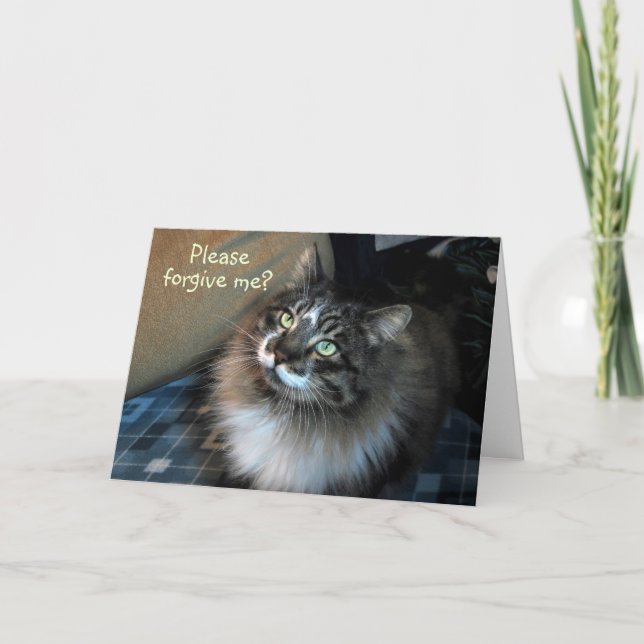 I'm Sorry Irresistible Cat Zorro Card (Front)