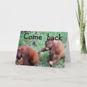 I'm Sorry: Let's Get Back Together Card