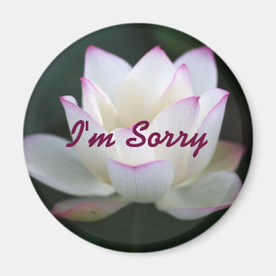 I'm Sorry Magnet