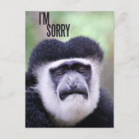 I'm sorry Monkey