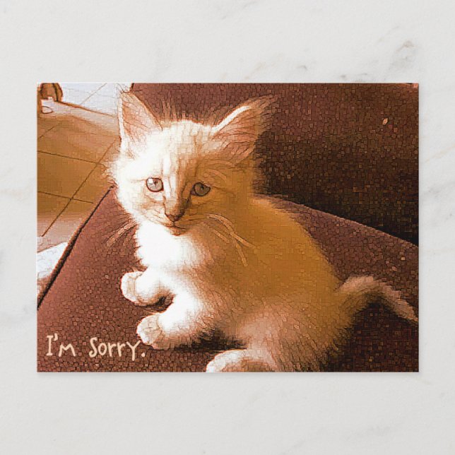 I'm sorry postcard (Front)