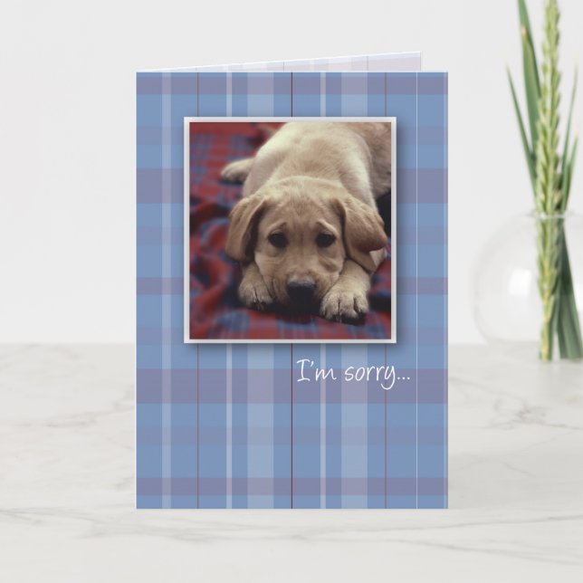 I'm Sorry Puppy Card (Front)