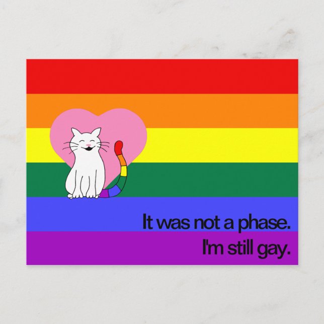 I'm Still Gay Cat with LGBT Pride Rainbow Flag Postcard (Front)