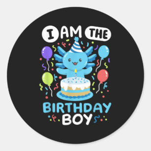 Im The Birthday Boy Kids Axolotl Bday Cute Family  Classic Round Sticker