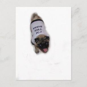 "I'm the Boss" Postcard