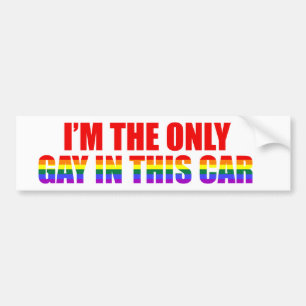 I'm The Only Gay In This Car LGBT Funny Humour Bumper Sticker