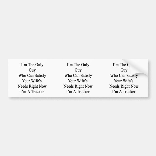 I'm The Only Guy Who Can Satisfy Your Wife's Needs Bumper Sticker (Front)