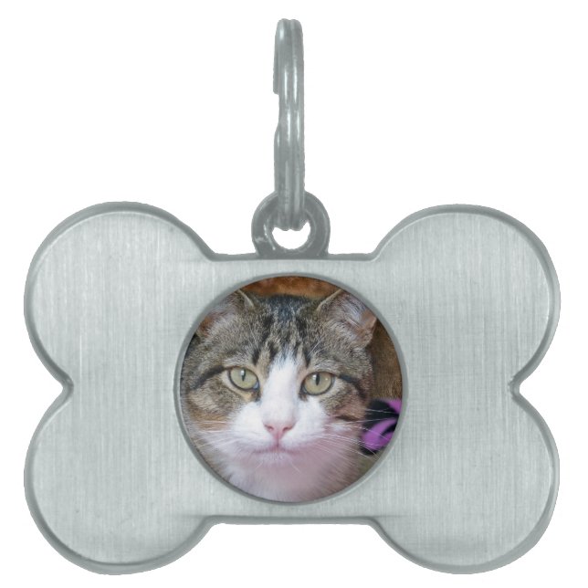 I'm Thinking Pet ID Tag (Front)