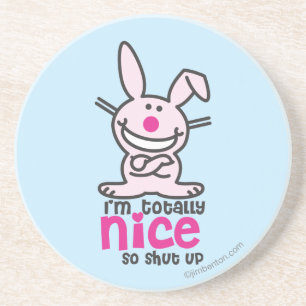 I'm Totally Nice Coaster