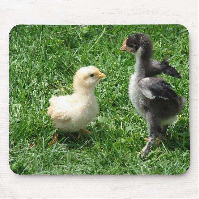 I'm Tougher Than You Mouse Pad (Front)