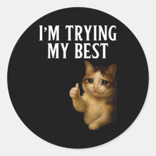 I'm Trying My Funny Crying Cat Meme Men Women Kids Classic Round Sticker