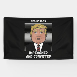 I'm Voting For The Convicted Felon Pro Trump 2024 Banner