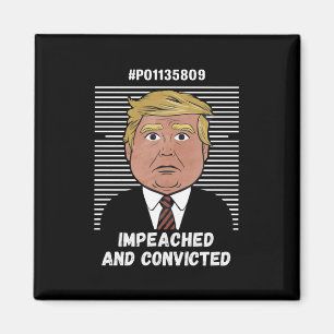 I'm Voting For The Convicted Felon Pro Trump 2024 Magnet