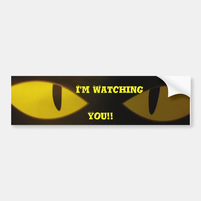 I'm Watching, You!! Bumper Sticker (Front)