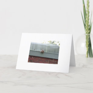 i'm watching you card