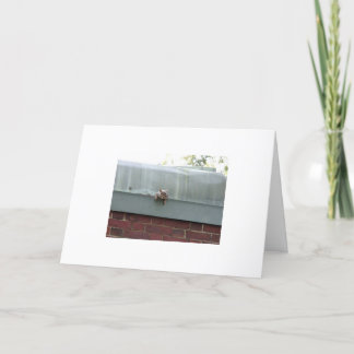 i'm watching you card