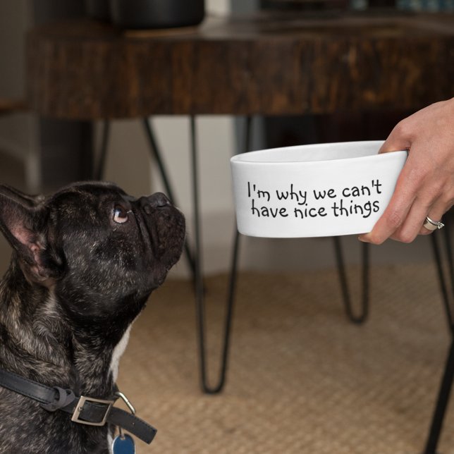 I'm Why we Can't have Nice Things Funny (Creator Uploaded)