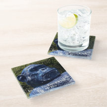Im With You - Coaster
