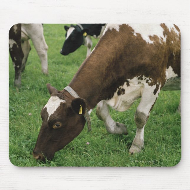 ima28991 mouse pad (Front)