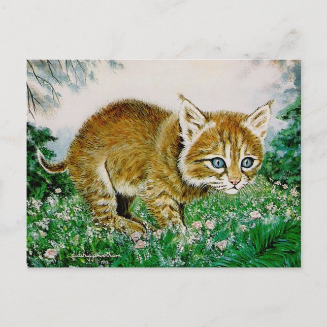 Ima Bobkitty Postcard (Front)