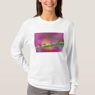 Image of asters formed in water droplets T-Shirt