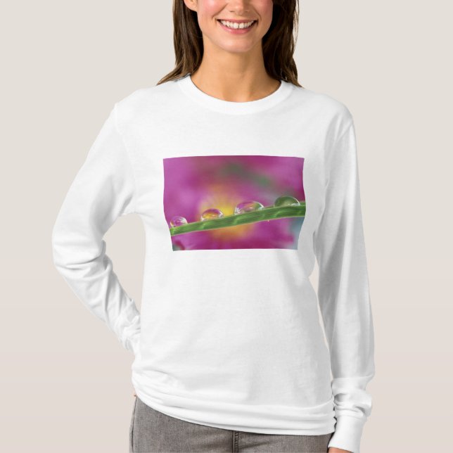 Image of asters formed in water droplets T-Shirt (Front)