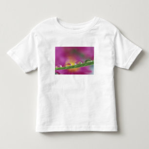 Image of asters formed in water droplets toddler T-Shirt