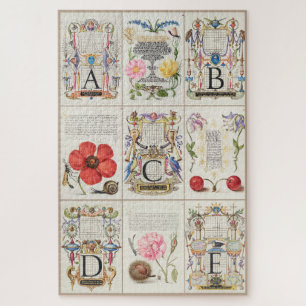 Images from Mira Calligraphiae Monumenta 007 Jigsaw Puzzle