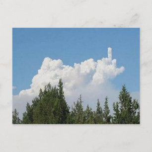 Images of a Suggestive Nature Postcard