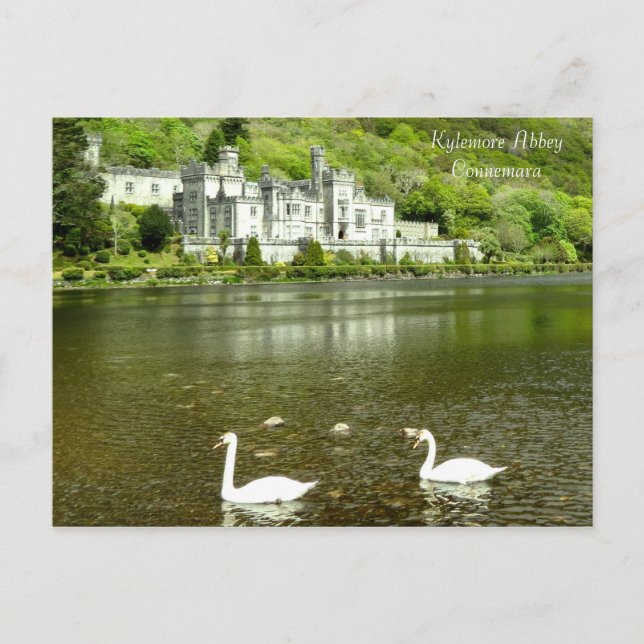 Images of Ireland Postcard (Front)