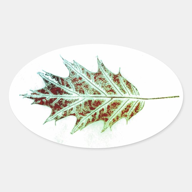 Images taken from direct nature leaf print Sticker (Front)