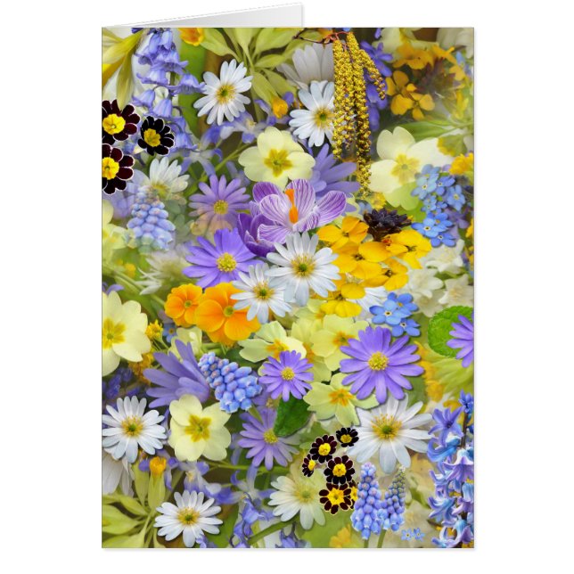 images with flowers (Front)